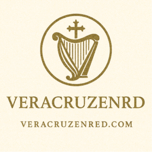veracruzenred.com