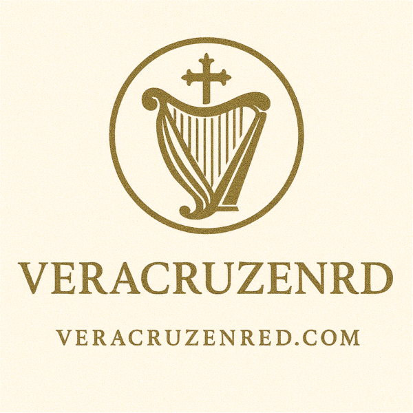 veracruzenred.com