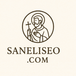 saneliseo.com